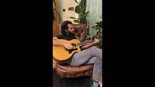 King Charles - Once (Liam Gallagher cover)