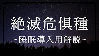 絶滅危惧種とレッドリスト【睡眠導入用解説】自然と心を重ねるひととき（眠れる女性の声）