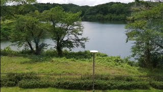 [国際結婚Vlog] おばあちゃんとお出かけ│自然／ブッフェ／1歳ベビー