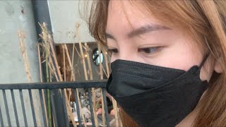 a day in life | on vacation in Vietnam