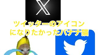 ツイッターのアイコンになりたかったバナナ猫🍌#shorts(猫ミーム)