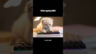 子猫がキーボードを打つASMR | 아기 고양이의 키보드 타이핑 ASMR | Tiny Kitten Typing on a Keyboard ASMR