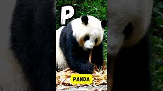 ABC Ocean Animals Song 🌊 | Learn Sea Creatures A to Z | #abcd #kids #shorts #learning #viralvideo