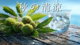 Refreshing Autumn BGM | Sparkling Water × Healing Guitar & Piano