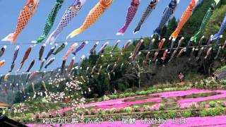 ～鯉のぼり（いらかの・・・）～杉並児童合唱団