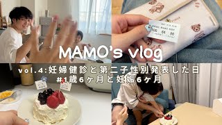 【性別発表】第二子の性別が判明したので性別発表をした日vlog👶🏻妊婦健診.妊娠6ヶ月/ジェンダーリビールケーキ🧁
