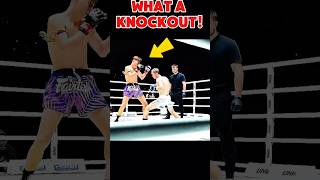 #unbelievable #mma  #martialarts #ufc #shortsvideo #muaythai #knockout #epicmoment