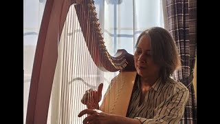 午後のひと時、おうちでハープ！！