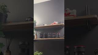 Desk setup fit for creativity ft. the M Series Standing desk #standingdesk #desksetup #homeoffice