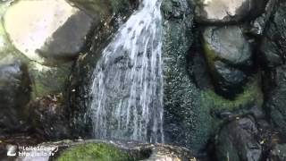 善福寺公園散策 Zenpuku-ji park walk