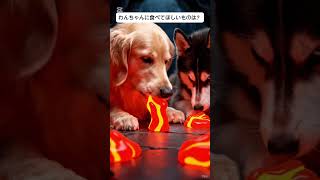 わんわんシリーズ🐾#AIASMR #LavaCandy #犬のASMR #AIDogs #幻想的 #CrunchASMR #音幻工房 #GoogleFlow #癒し映像 #FantasyASMR