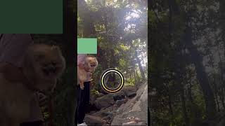 茨城県！！５億年前の地層で不思議な光が降りてきた#shorts