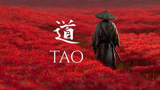 TAO – Japanese Ambient Music on the Path of the Samurai (道)