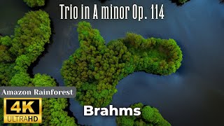 4K Rainforest Nature Relaxation Film - Brahms - Trio in A Minor op. 114