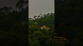 #allah #islamicquotes #nature #peace #islamicvideo