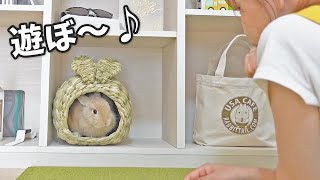 うさぎをケージの外に出して遊ばせてみたら・・・