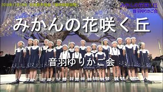 みかんの花咲く丘 - 音羽ゆりかご会