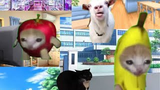 バナナ猫の一日#猫ミーム #猫ミーム日常 #バナナ猫 #一日#ねこミーム