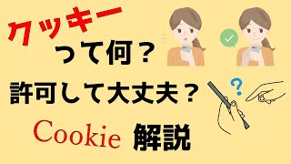 [パソコン用語解説] Cookieってなに？許可していいの？