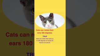 Cats can rotate their ears 180 degrees.
