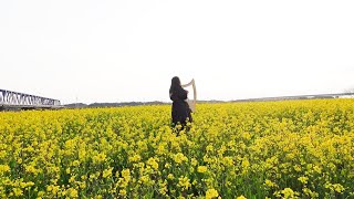 四月 朧月夜 April