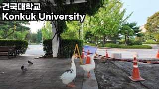 [4K] 서울 건국대학교 캠퍼스 산책 Konkuk University campus, Seoul, Korea walk