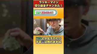 古民家DIYで売れるもの！！＃shorts