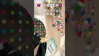 [asmr]袋の音まとめ📌