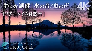 Nature sounds of the lakeside in the evening and nighttime | nature sounds for sleeping, insomnia