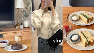 vlog.社会人3日間の日常ブイログ🍊友達と会う休日,食事記録🍽️