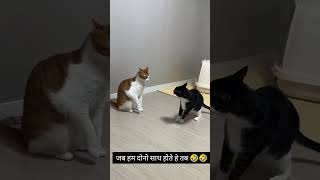 #husbandwifecomedy #comedyvideo #husbandwifenokjhok