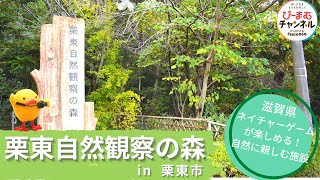 滋賀県栗東市「栗東自然観察の森」ママライターpresents♪