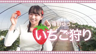 椿野ゆうこ　はじめてのいちご狩り