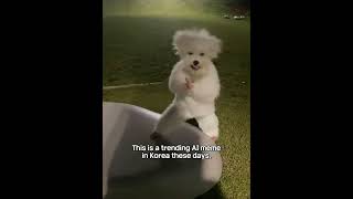 #koreanmeme #korea #memes