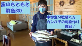 富山きときと鮮魚BOXのご紹介～中学2年生の敏輝くんがカンパチの刺身作りに挑戦～