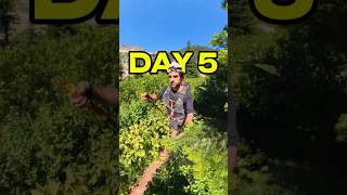 Day 5: running 90 marathons in 90 days along the Pacific Crest Trail #hiking #pct #runner