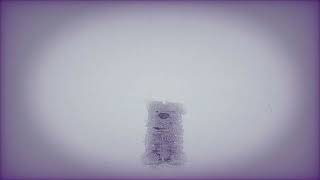 TUYU - Faithful Dog "Hachi" (lofi remix)