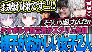 LTKスクリム中にネオポルテ共同代表のおじじが参戦し様子がおかしくなるてんてとしずくに爆笑する葛葉たち【ゆきお/k4sen/天帝フォルテ/ゆーじお/League of Legends】