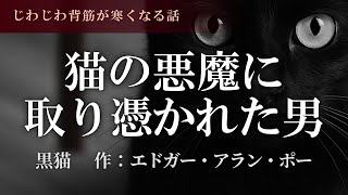 【怖い話朗読】エドガー・アランポー「黒猫」落ち着いた女性の声で睡眠導入に最適✨【名作/聞き流し/教養】
