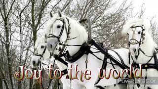 Joy to the world（Harp） もろびとこぞりて（ハープ）