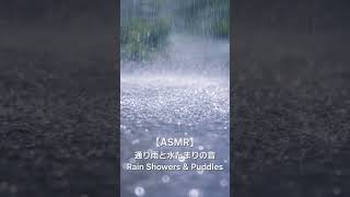 【ASMR】通り雨と水たまりの音｜Rain Showers & Puddles