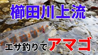 櫛田川上流へアマゴ釣りに行ってきました～♪