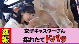 [Female newscaster] Kanako Mizutani's first milking experience: "This one came out too..." She co...