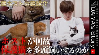 Introducing the cats of the cat host [Protected Cat Heaven]