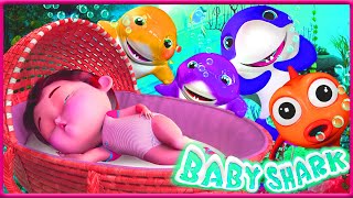 Baby Shark Dance & Wheels On The Bus - Kids Songs Compilation