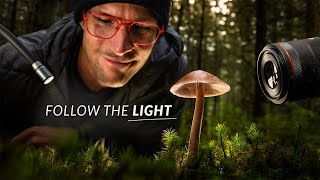 A New Way to Compose Macro Shots with Light