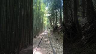 日本一美しい廃線🚃✨が神秘的すぎた！#鳥取旅行 #倉吉 #鳥取グルメ