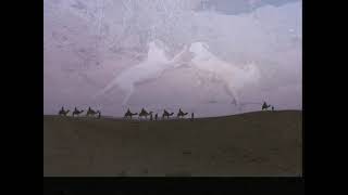 Maroc PhotoStory #maroc #モロッコ #旅 #旅行 #旅行動画 #sahara #サハラ #砂漠 #犬  #マラケシュ  #photostory #photo #shorts