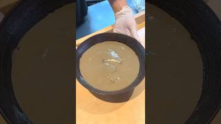 Extreme Niboshi Ramen in Tokyo!