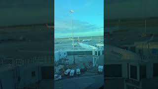 メルボルンのフィリピン航空の飛行機パーク #melbournelife